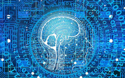 High-risk systems under Regulation IA